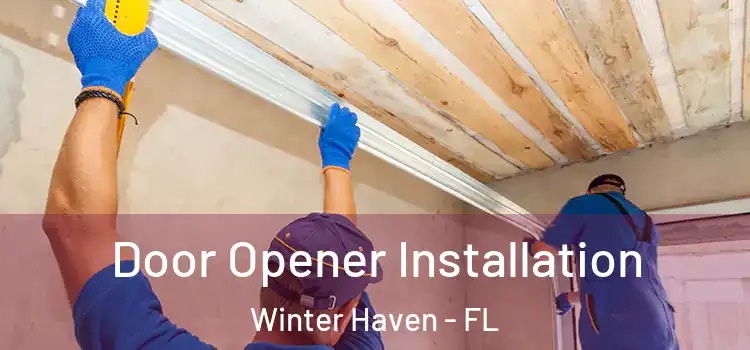 Door Opener Installation Winter Haven - FL