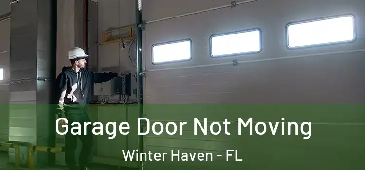  Garage Door Not Moving Winter Haven - FL